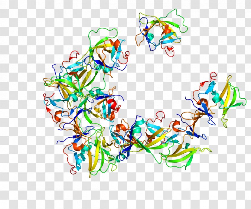 RIG-I-like Receptor Helicase LGP2 MDA5 - Retinoic Acid - Virus Transparent PNG