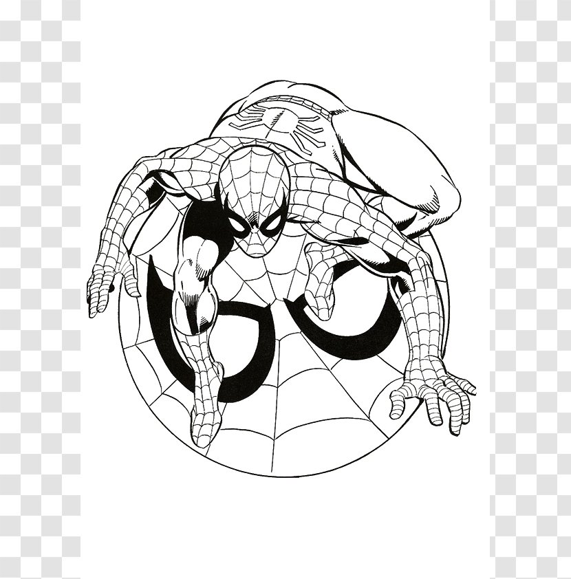 Spider-Man Coloring Book Superhero Child Character - Watercolor - Cartoon Spider Transparent PNG