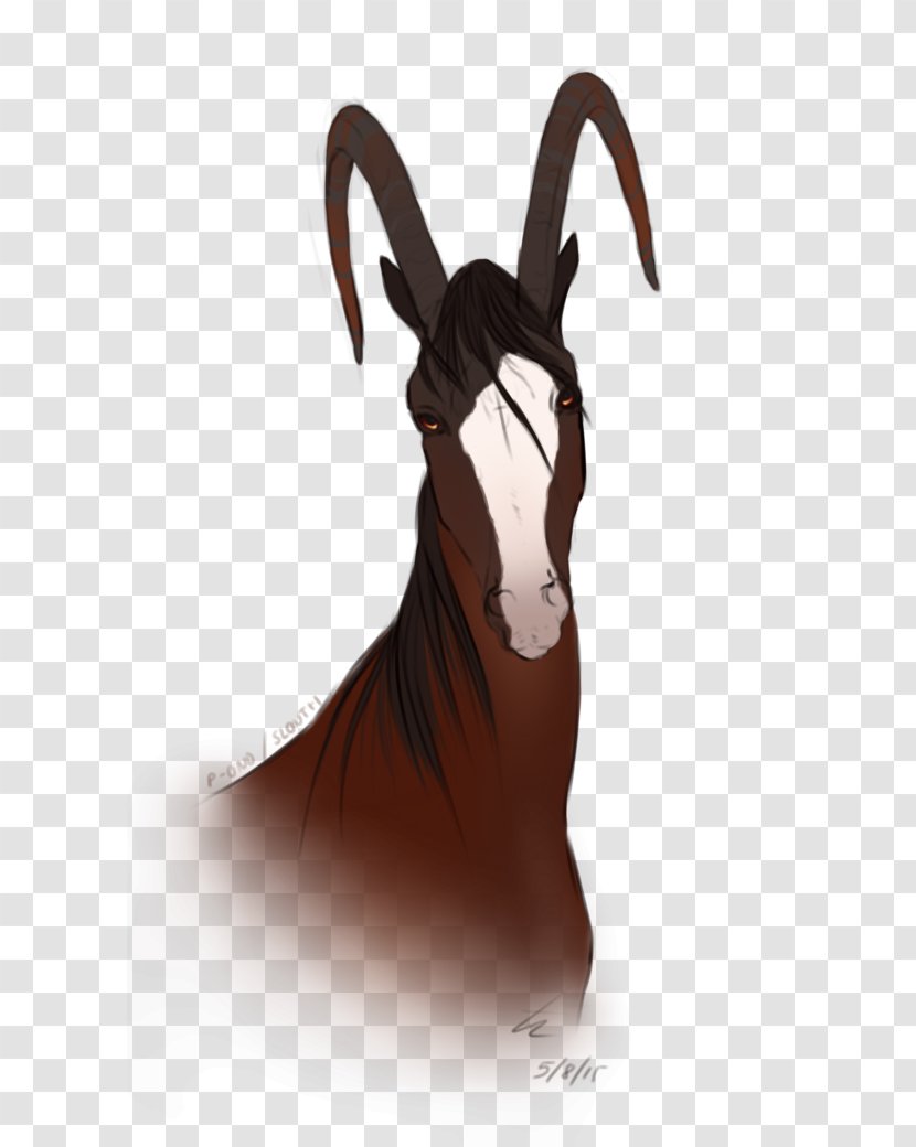 Horse Equus 5 August Avis Rent A Car Bridle - Stumbleupon Transparent PNG