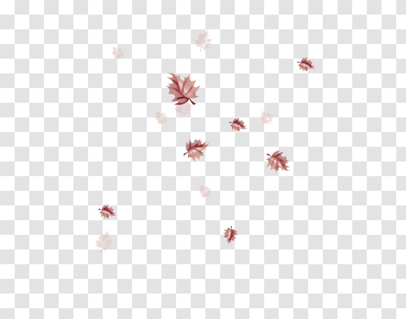 White Pink Red Line Leaf - Petal - Plant Transparent PNG