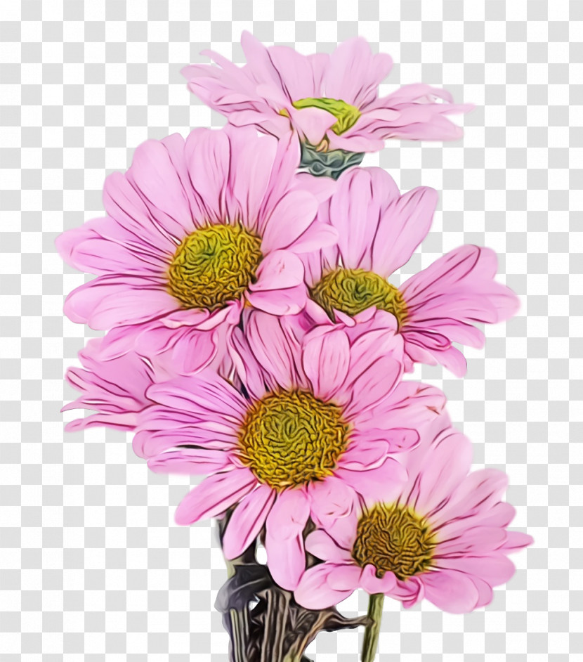 Floral Design Transparent PNG