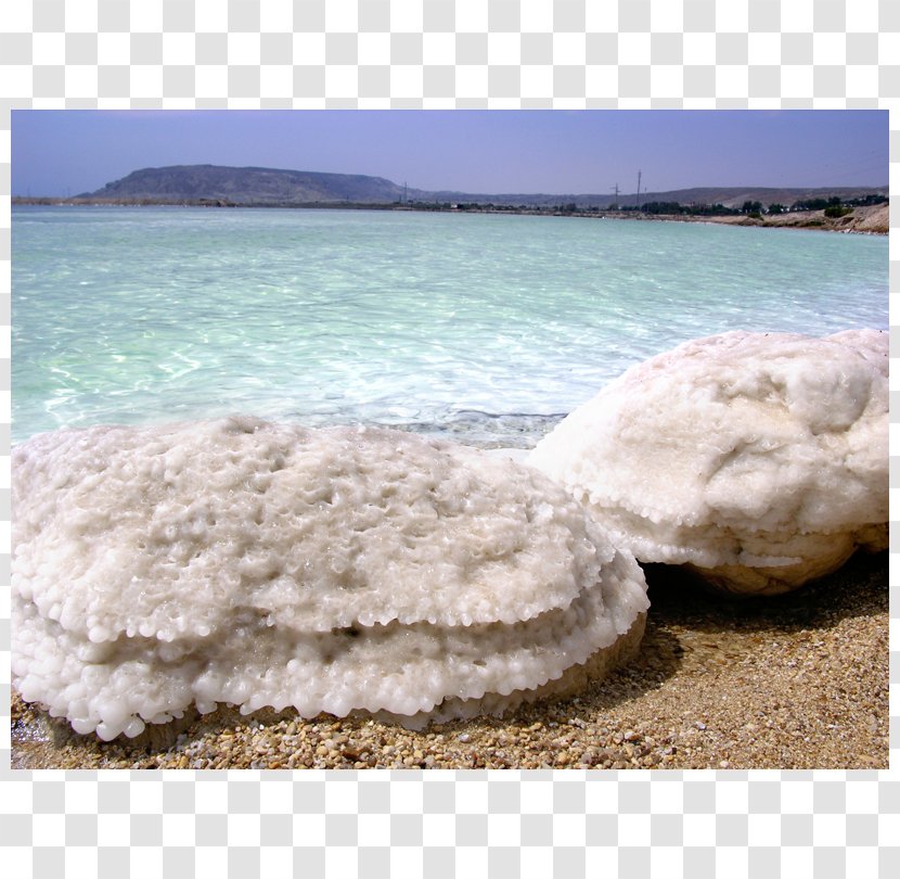 Dead Sea Salt Shore Salinity Transparent PNG