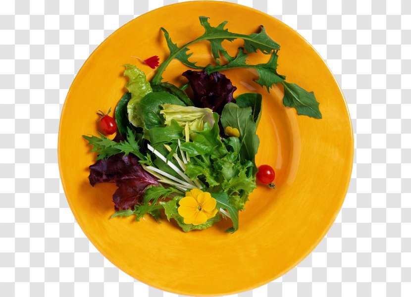 Leaf Vegetable Recipe Dish Salad - Lettuce Transparent PNG