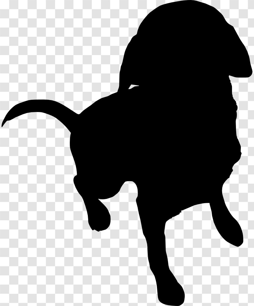 Dog Cat Clip Art Silhouette - Carnivore - Shadow Transparent PNG