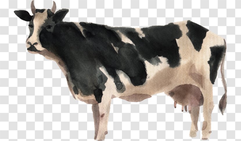 Dairy Cattle Watercolor Painting Farm - Calf - Like Mammal Transparent PNG