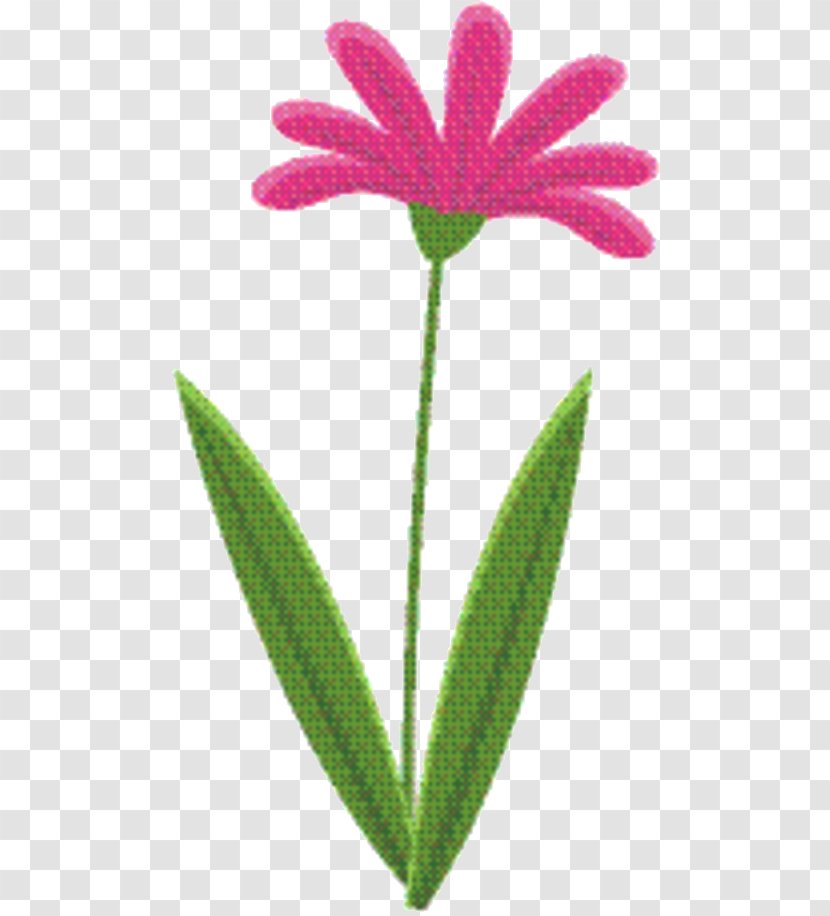 Pink Flower Cartoon - Family Terrestrial Plant Transparent PNG