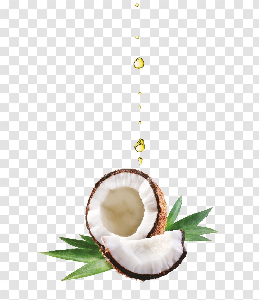 Coconut Oil Olive Lotion Transparent PNG