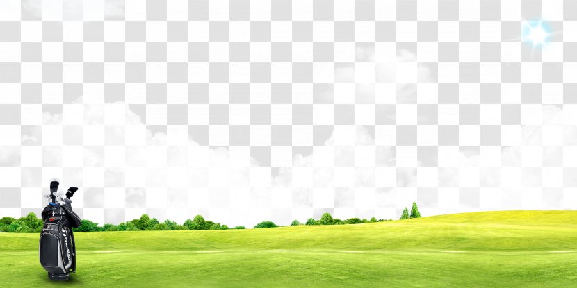 Golf Club Course Sport Ball - Grass Transparent PNG