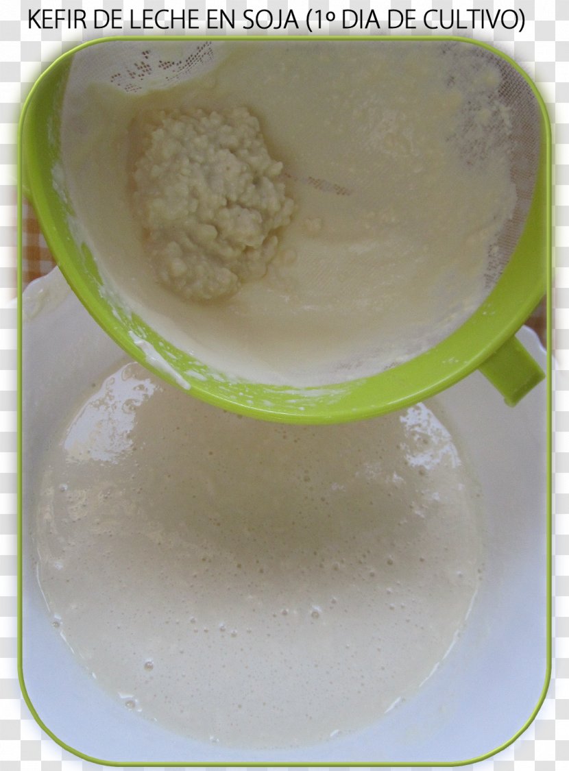 Kefir Soy Milk Substitute Plant - L%c3%a1ngos Transparent PNG