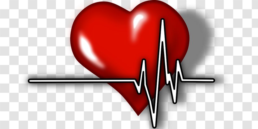 Electrocardiography Cardiology Heart Arrhythmia Myocardial Infarction - Cardiovascular Disease - Symbol Love Transparent PNG