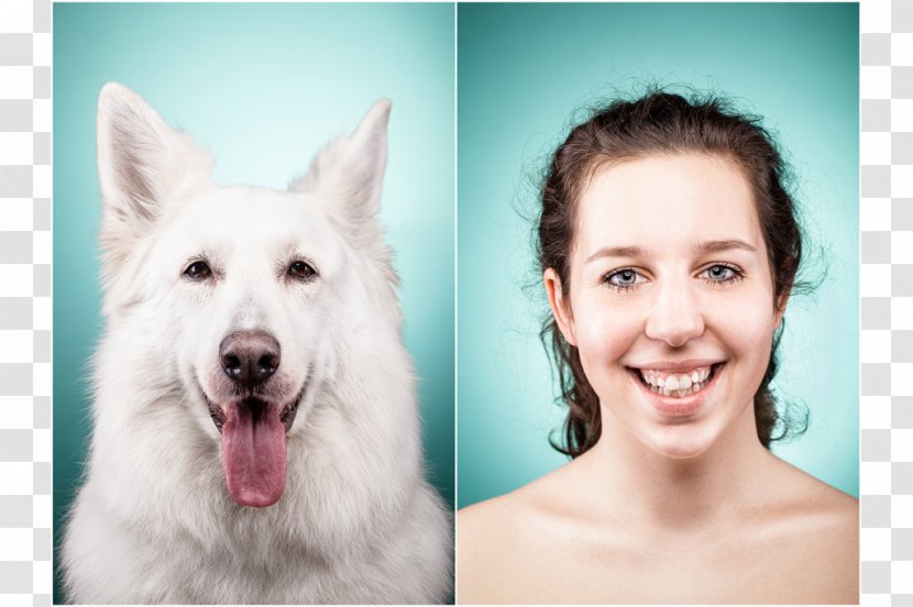 Dog Breed Cat People And Silberbild Studio Transparent PNG