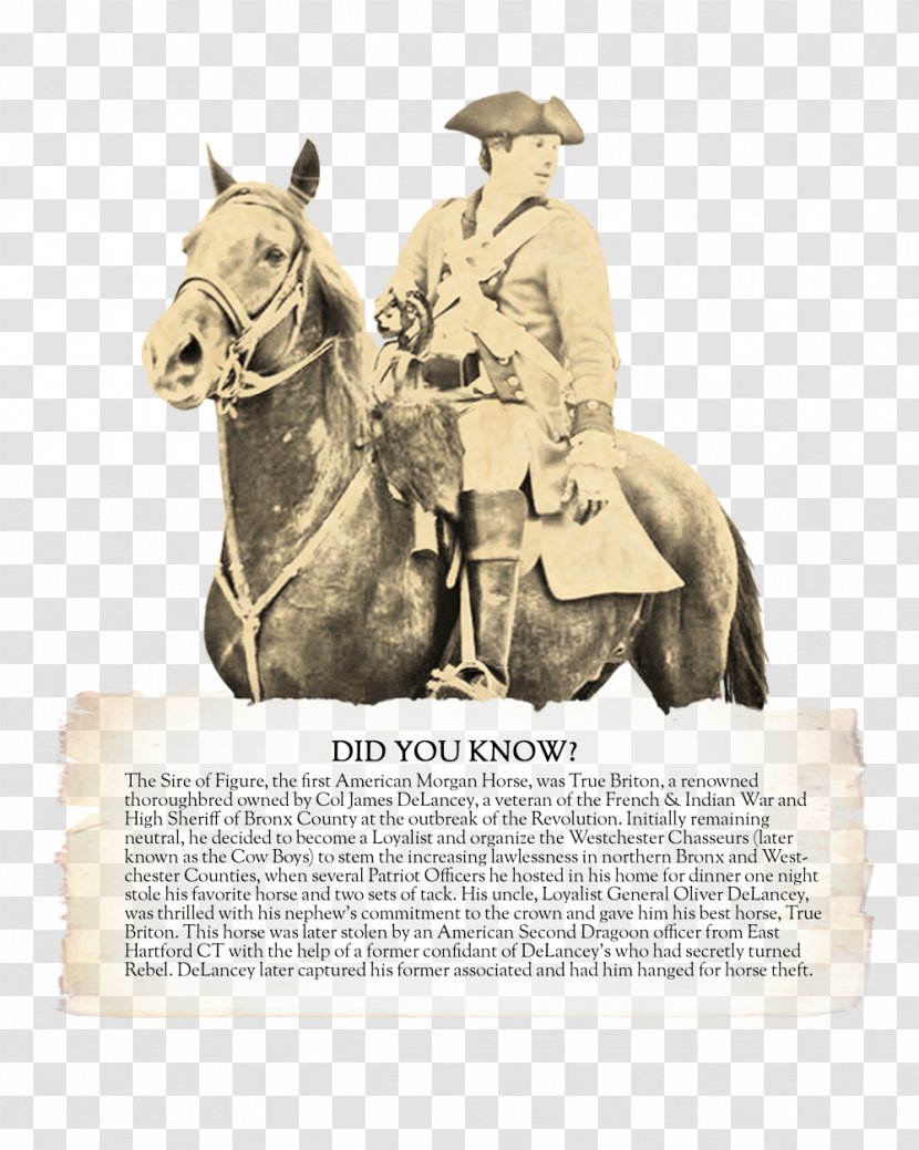 Horse Tack Equestrian Cowboy Pack Animal - Statue Transparent PNG
