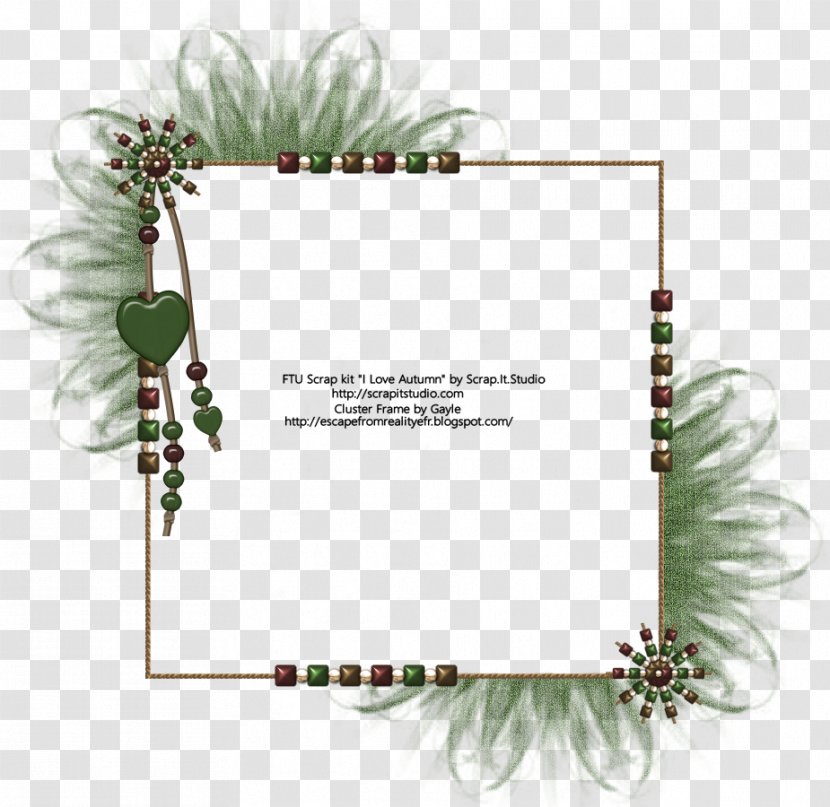 Floral Design Picture Frames Pine Font Transparent PNG