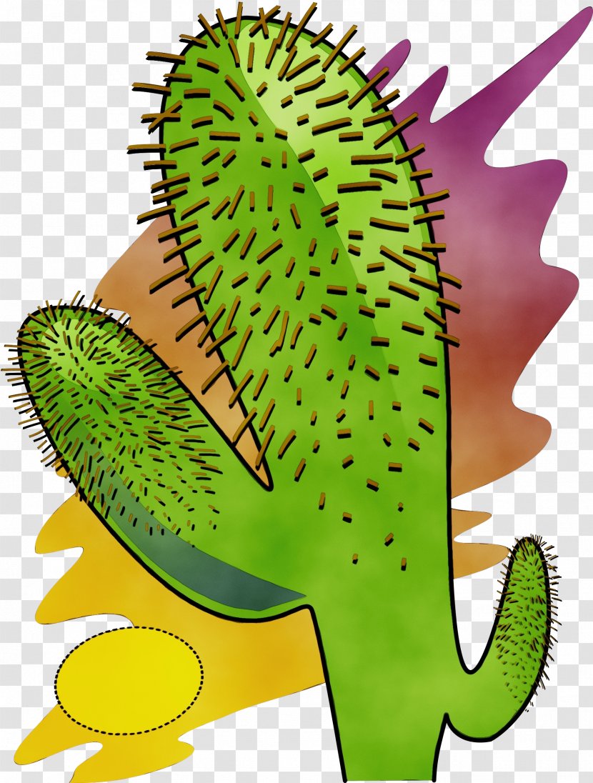 Watercolor Flower Background - Cactus - Nepenthes Durian Transparent PNG