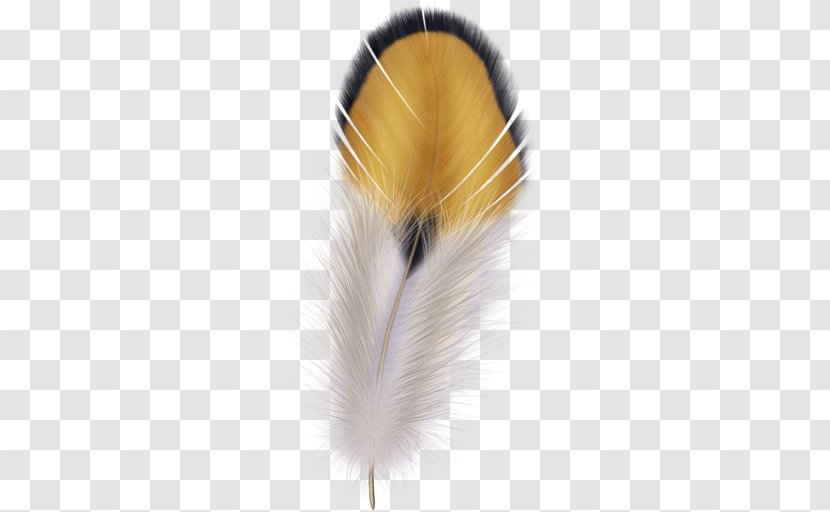 The Floating Feather Quill Pen - Inkwell Transparent PNG