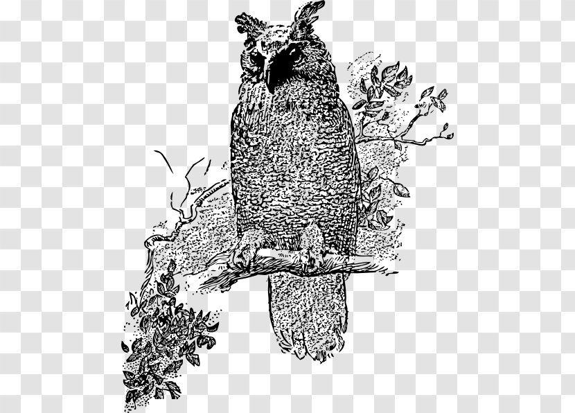 Great Horned Owl Bird Clip Art - Cliparts Transparent PNG