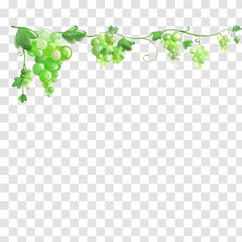 Common Grape Vine Leaves Wallpaper Transparent PNG