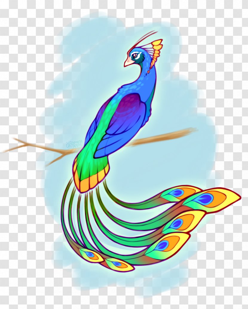 Macaw Feather Parakeet Beak - Art - Apple Rainbow Transparent PNG
