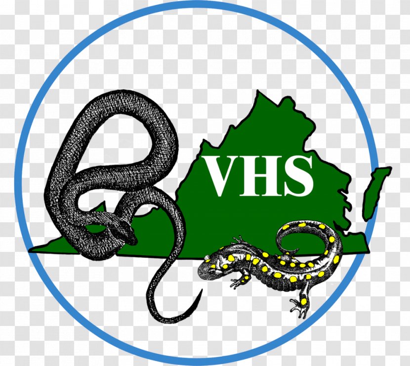 Snake Virginia Reptile Herpetological Society Herpetology Transparent PNG