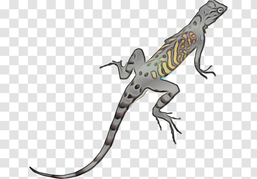 Dragon Background - Wall Lizard - Tail Transparent PNG