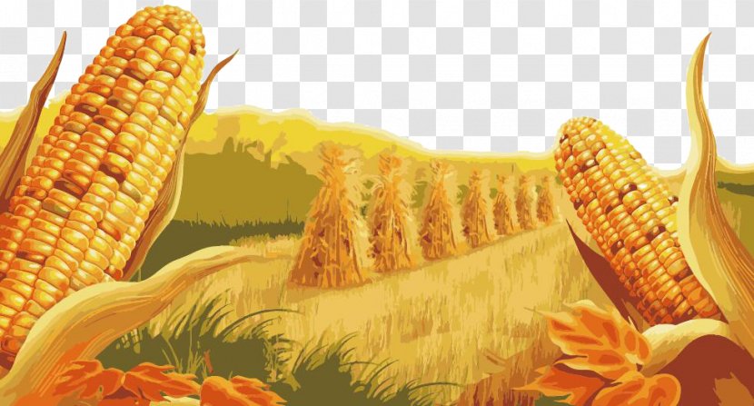 Candy Corn Maize High-definition Television Display Resolution Wallpaper - Ultrahighdefinition - Map Transparent PNG