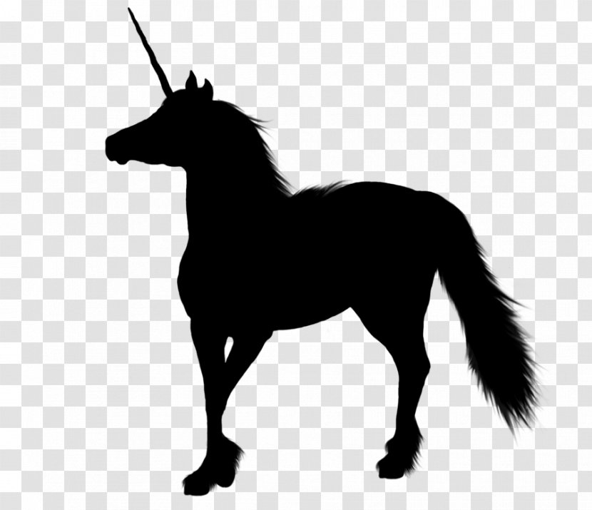 Mule Foal Mustang Donkey Stallion - Horse - Mythical Creature Transparent PNG