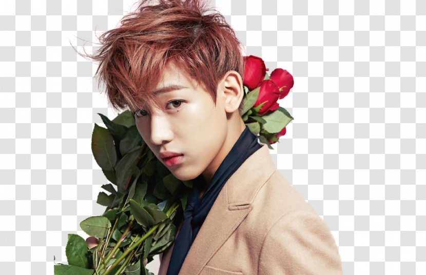 BamBam GOT7 K-pop Thailand Never Ever - Kpop - Bambam Got7 Transparent PNG