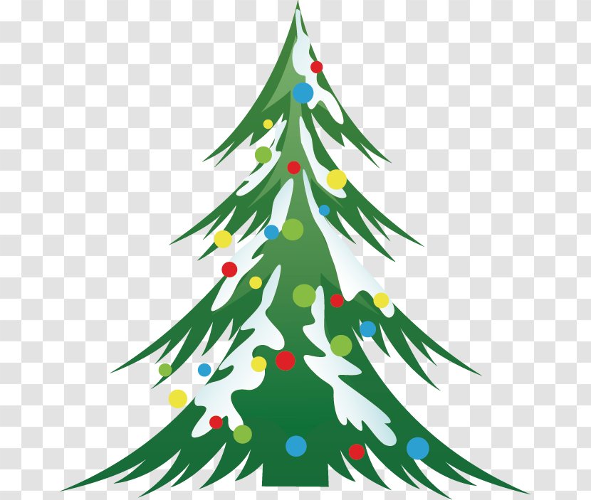 Christmas Tree Fir Ornament - Vector Transparent PNG