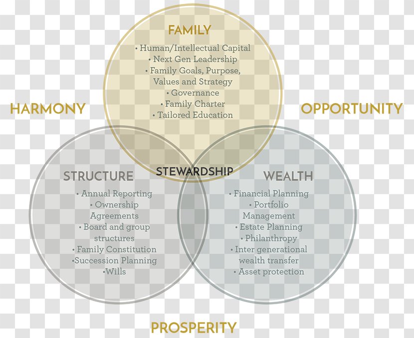 Stewardship Succession Planning Wealth Management Governance Framework Transparent PNG
