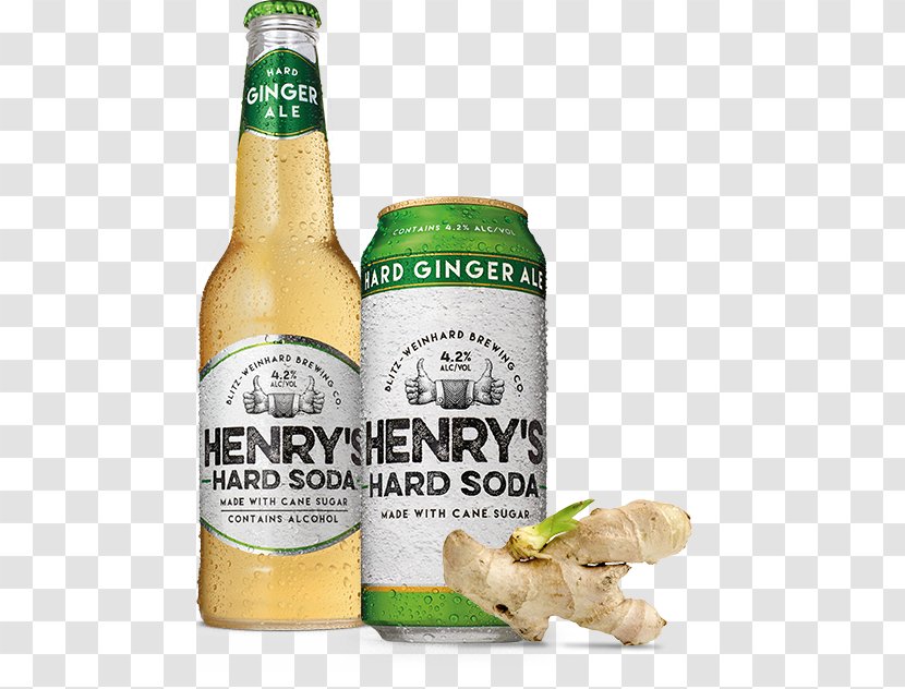 Ginger Beer Fizzy Drinks Ale Orange Soft Drink - Alcoholic Transparent PNG