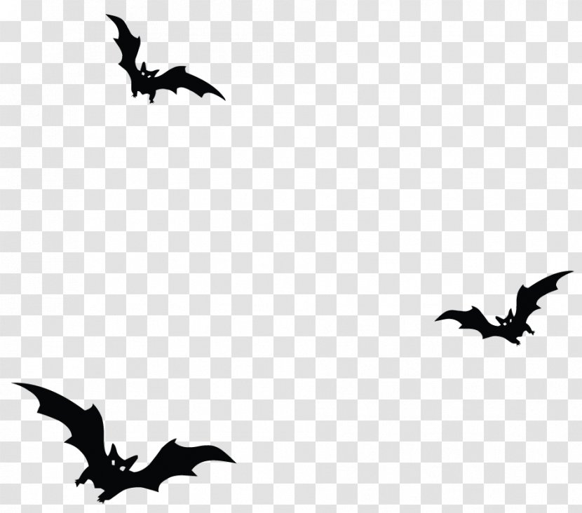 Clip Art - Photography - Haunted Bats Vector Clipart Transparent PNG