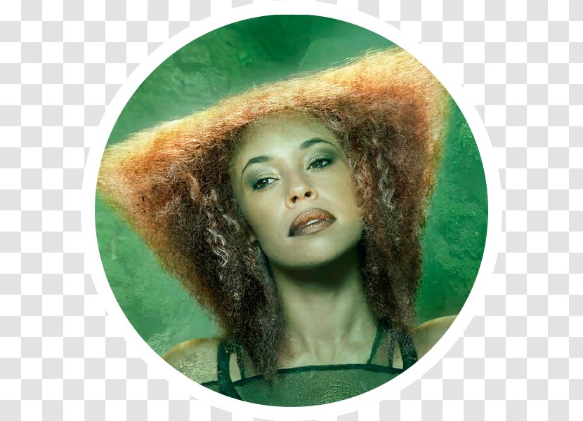 Mary Ruiz Iru Peluqueros Beauty Fashion Hair Coloring - Face - Salon Transparent PNG