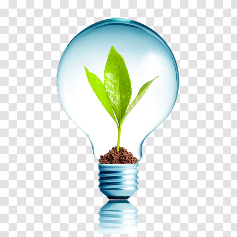 Energy Conservation Efficient Use Renewable Environmentally Friendly - Electricity - Creative Bulb Plants Transparent PNG