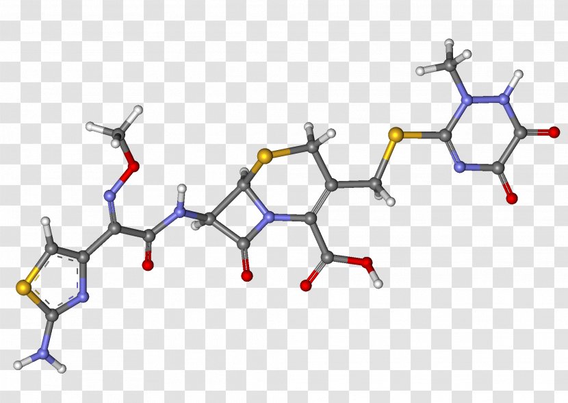 Ceftriaxone Antibiotics Otitis Media Therapy Pharmaceutical Drug - Tree - Stick Transparent PNG