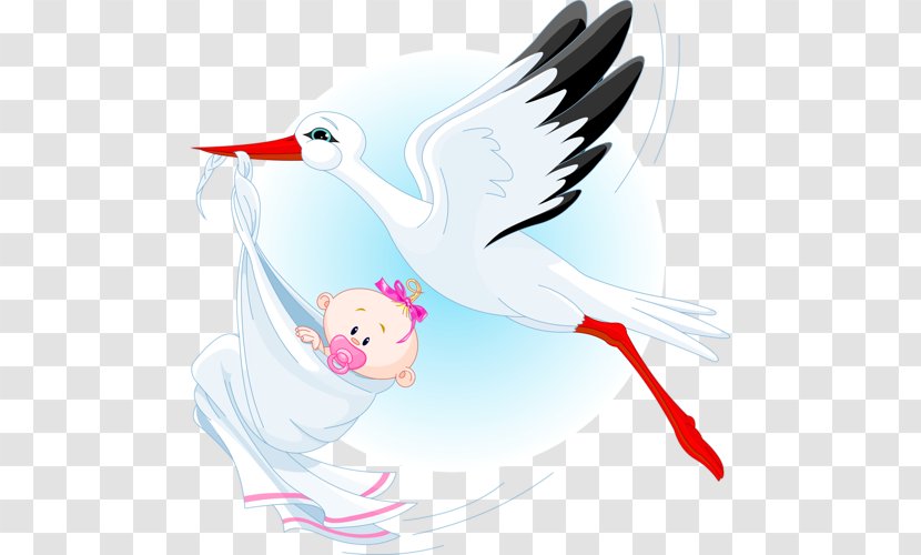 Stork Infant Clip Art Transparent PNG