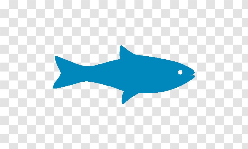 Fishing - Whitefish - Vis Transparent PNG