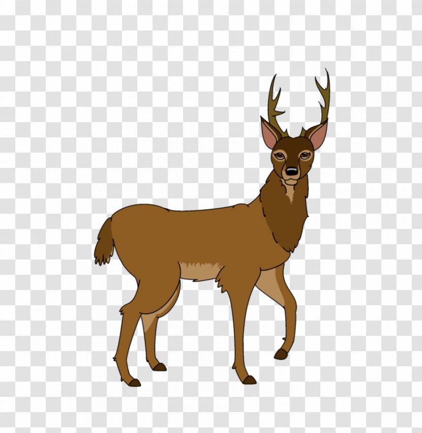 Reindeer White-tailed Deer Elk The Walt Disney Company - Terrestrial Animal - Draw Transparent PNG