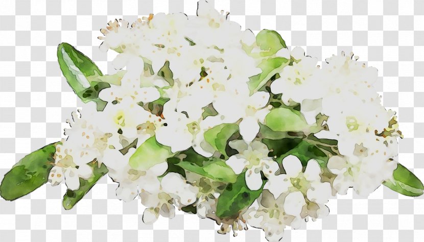 Floral Design Cut Flowers Flower Bouquet - Plant - Viburnum Transparent PNG