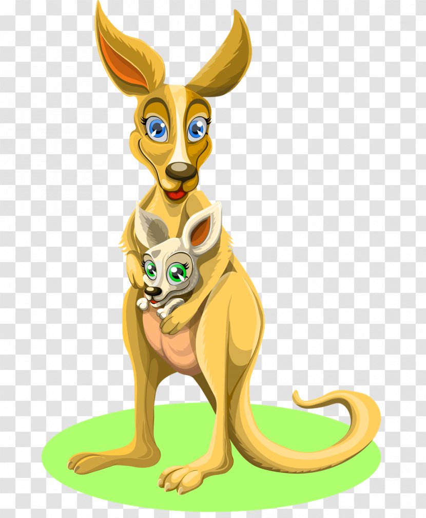 Kangaroo - Mammal - Fictional Character Transparent PNG