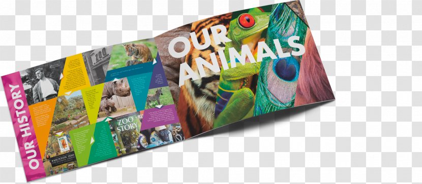 Paignton Zoo Graphic Design Brochure - Business Transparent PNG