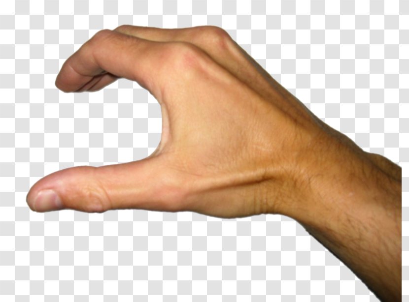 Thumb Hand Palmistry Finger - Frame Transparent PNG