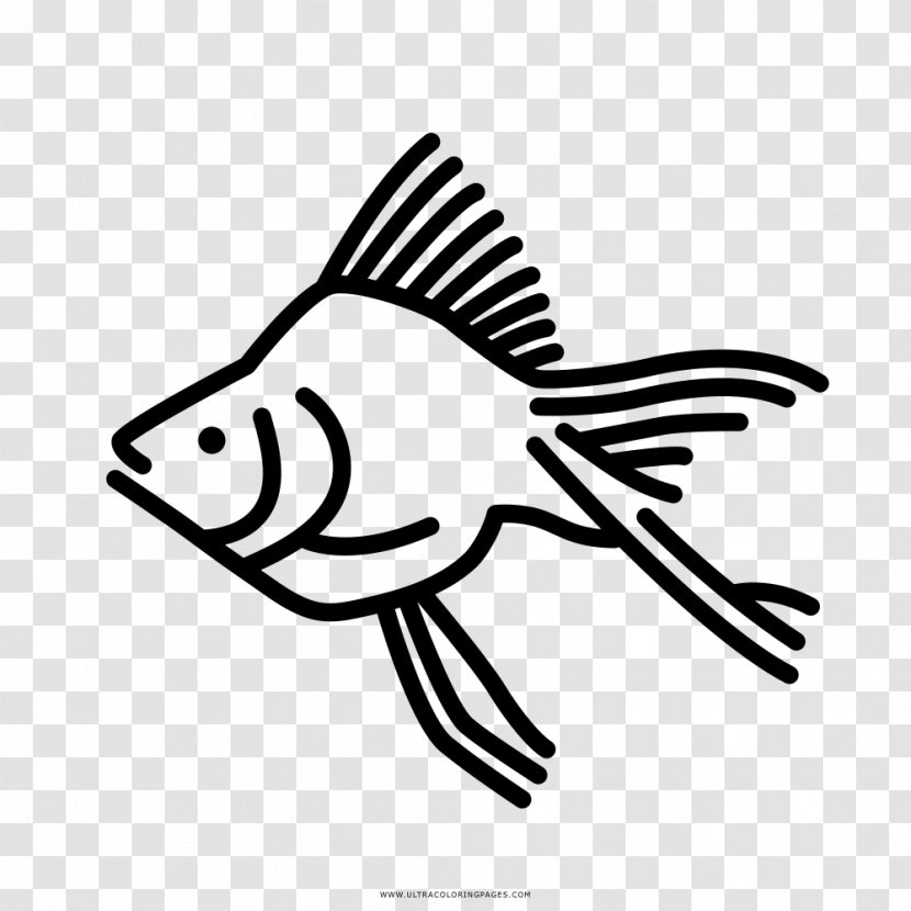 Goldfish Coloring Book Drawing Aquarium - Monochrome - Fish Transparent PNG