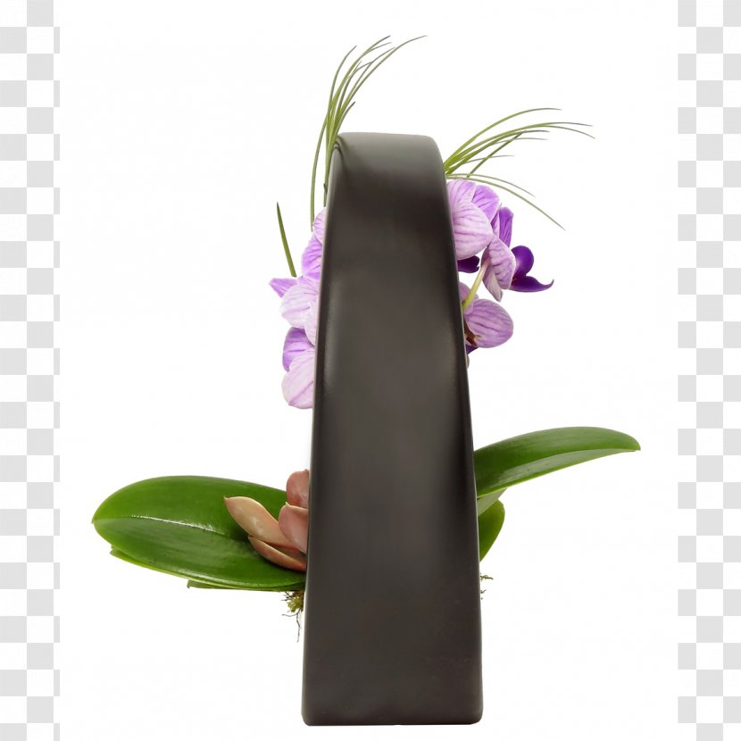Onyx Orchids Flowerpot Tillandsia - Succulent Plant Transparent PNG