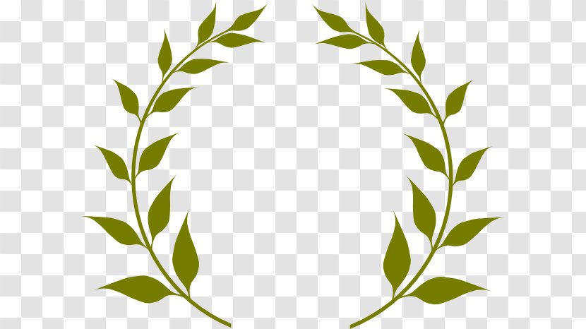 Olive Branch Wreath Clip Art Transparent PNG