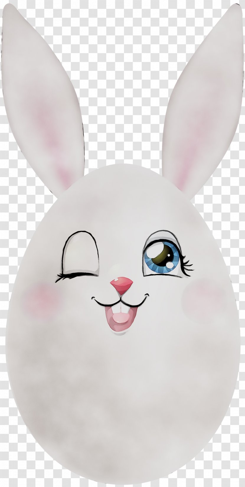 Domestic Rabbit Easter Bunny Whiskers Nose Transparent PNG