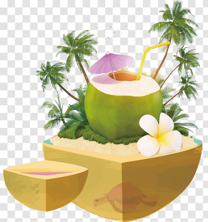 Coconut Water Milk Cocktail Juice - Herbal - Cocanut Ornament Transparent PNG
