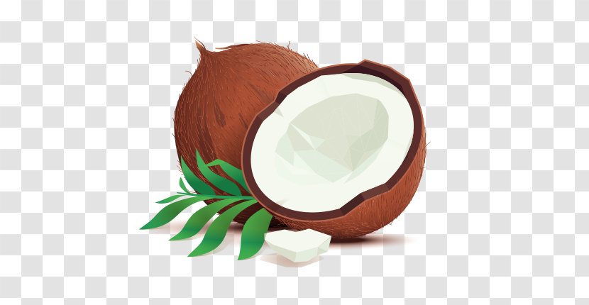 Coconut Water Illustration Drawing Vector Graphics - Superfood - Natural Oil Transparent PNG