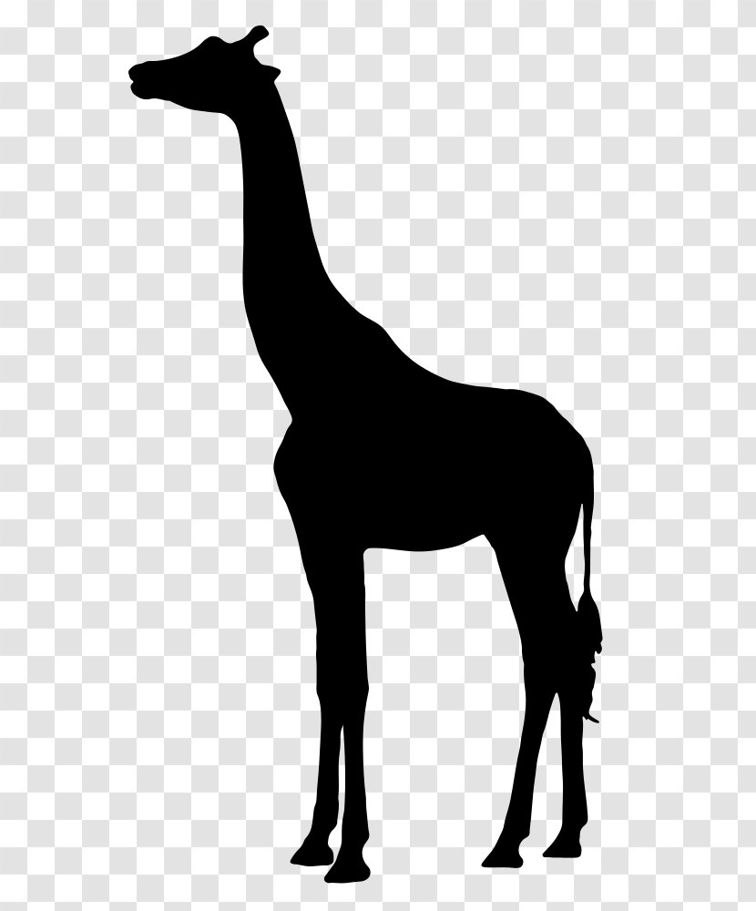 Silhouette West African Giraffe Clip Art - Giraffidae - Vector Transparent PNG