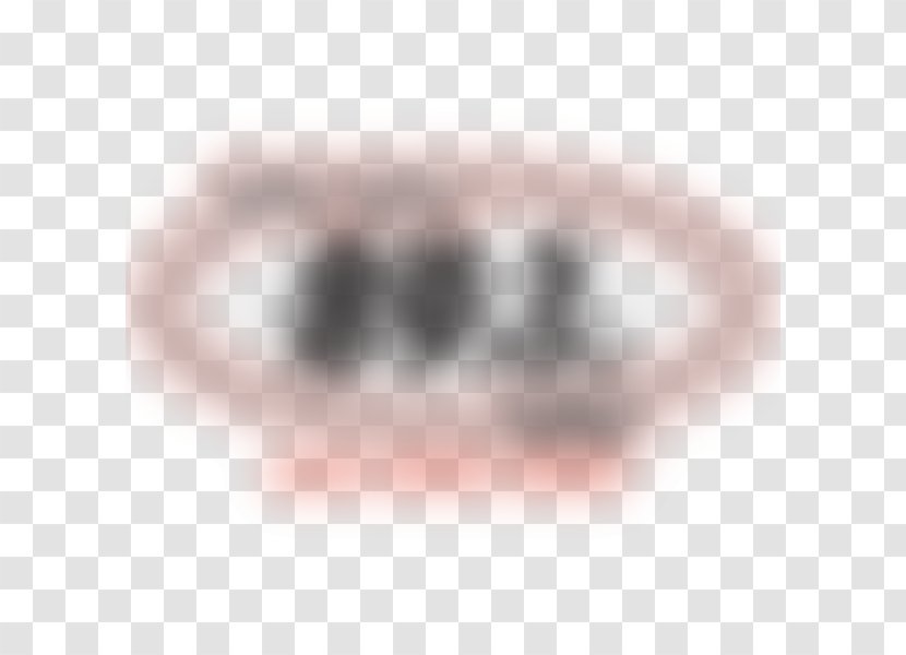 Close-up Nose Font - Lip - Blurred Background Transparent PNG