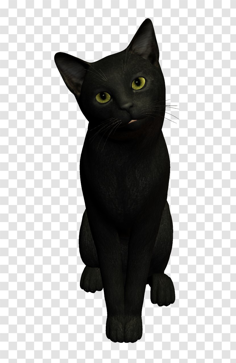Black Cat Dog - Bombay - Meng Transparent PNG